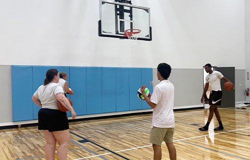 people-on-courts
