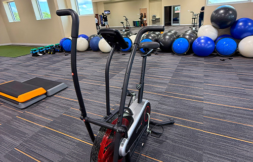 fitness